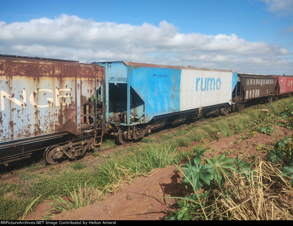 RUMO HPT-030459-0